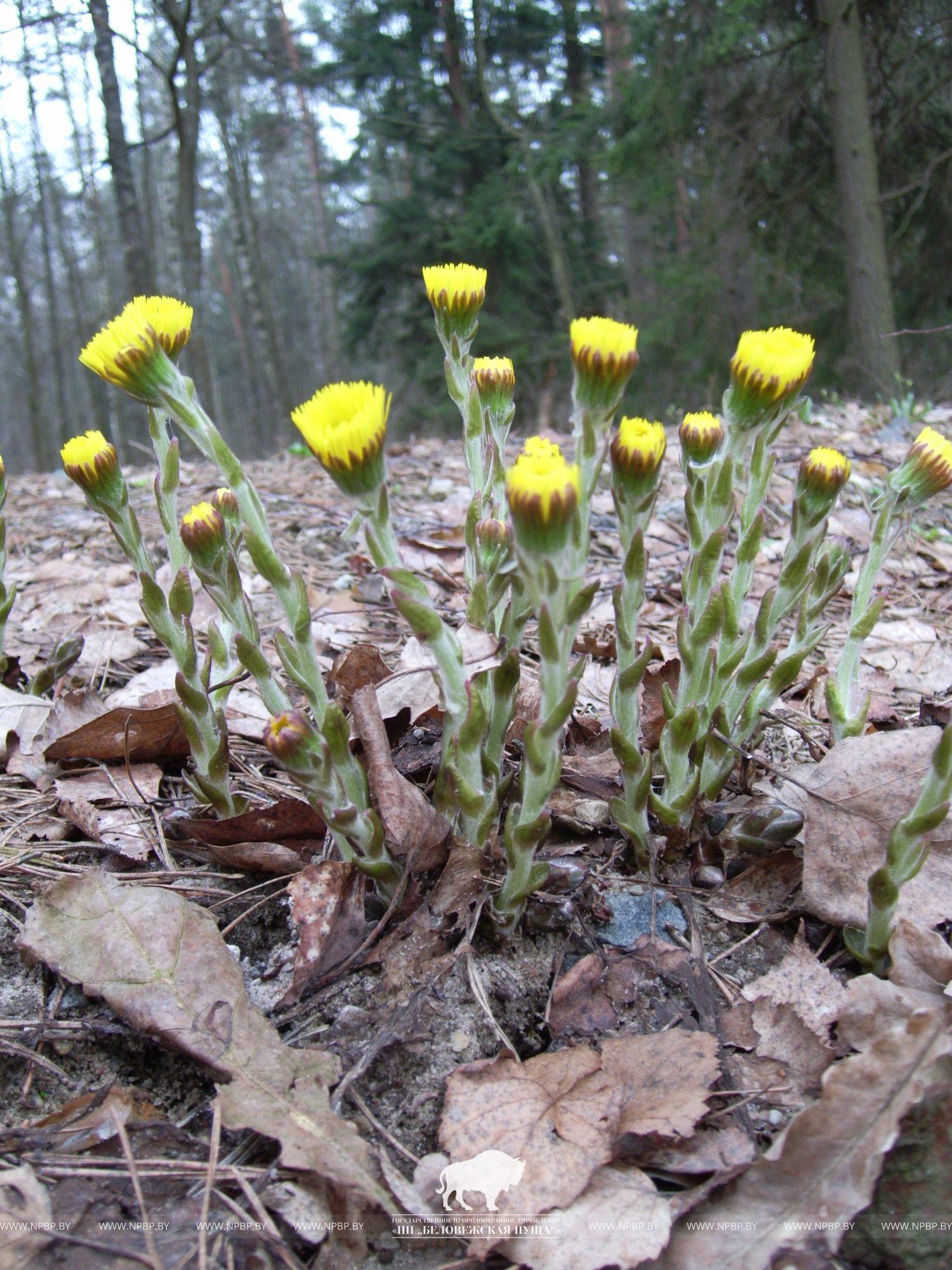 PIC_0110.jpg PIC_0110.jpg