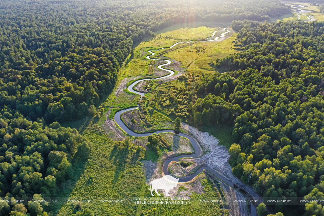 DJI_0028+.jpg