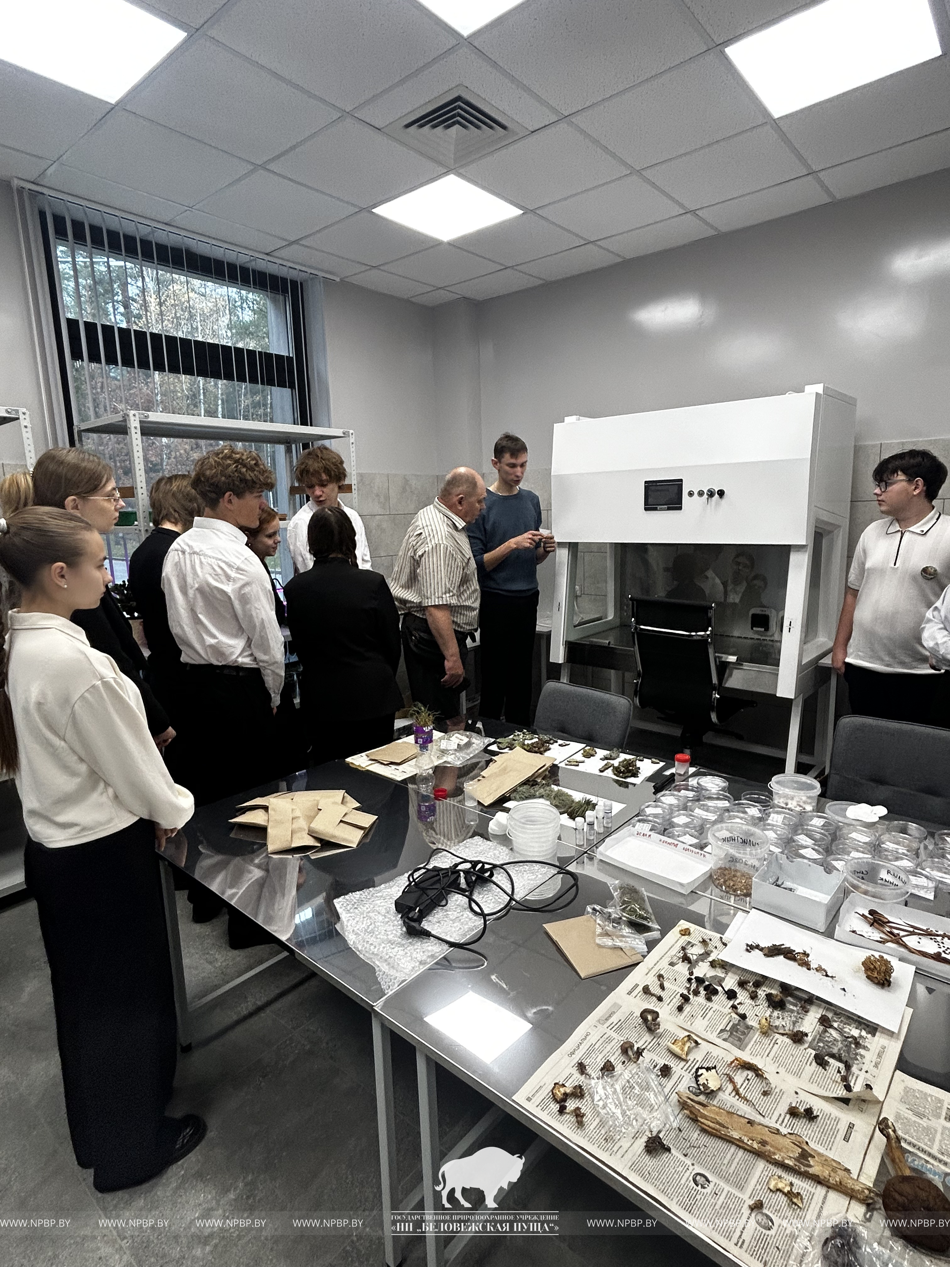 IMG_8808.jpg