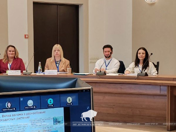 e.jpg e.jpg