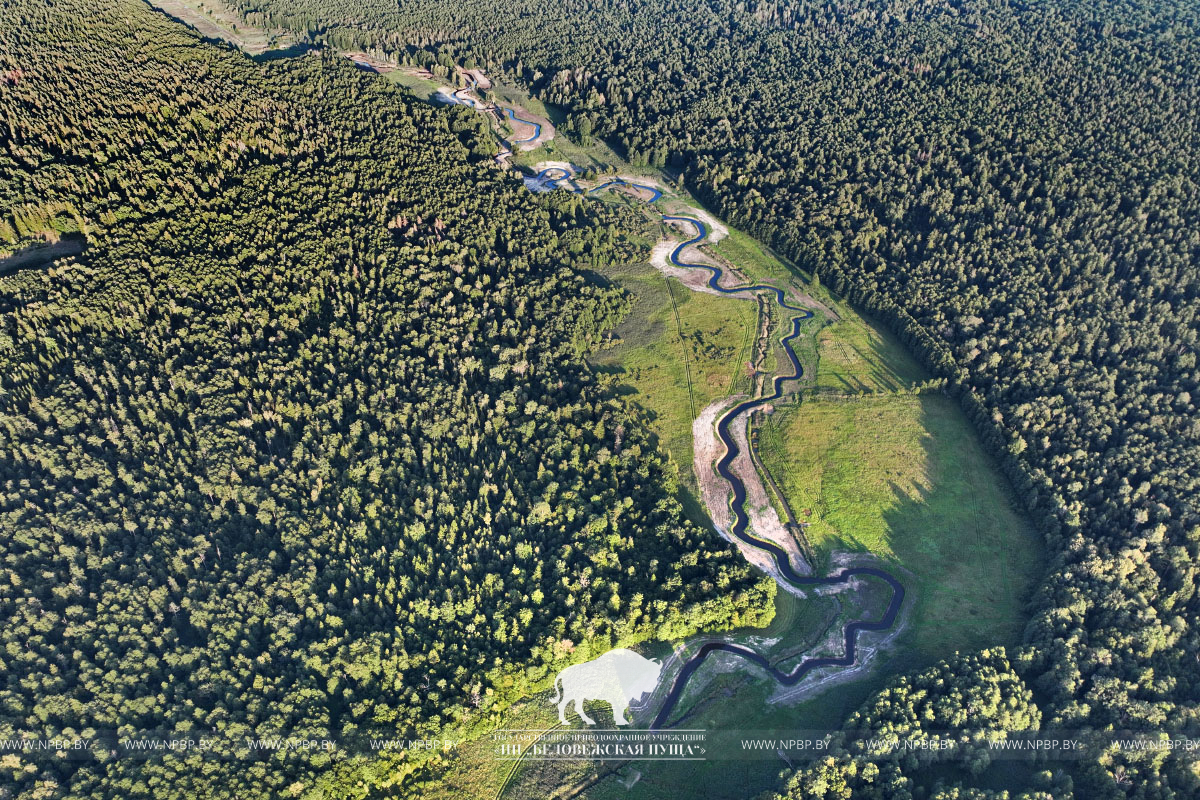 DJI_0915+.jpg