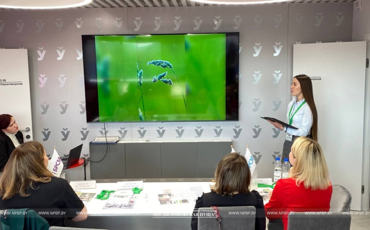 Александра Бульчук на республиканском этапе конкурса "Пресс-код"