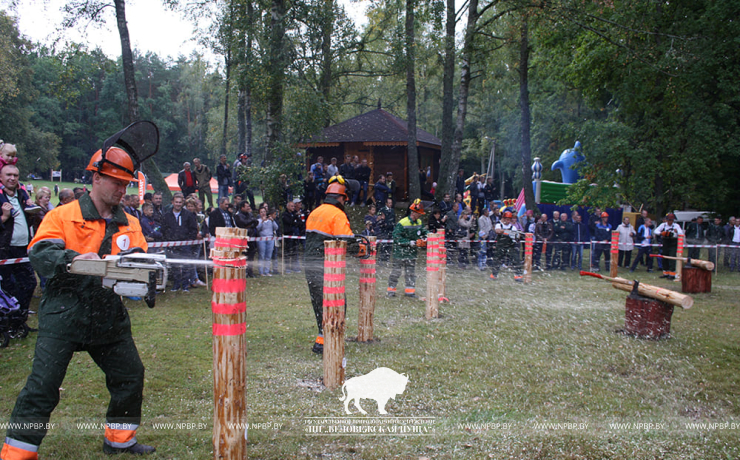 Как прошёл День работника леса в Беловежской пуще 