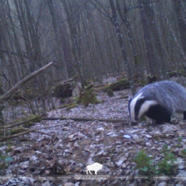 Охрана Краснокнижных видов