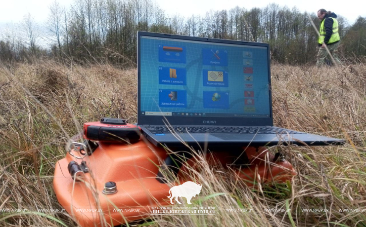 Тайны археологии Беловежской пущи раскрываются с помощью радиотехнического зондирования