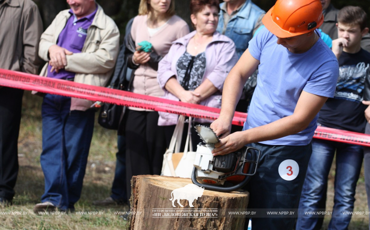 Belovezhskaya Pushcha INVITES to the celebration of the Forest Worker Day!
