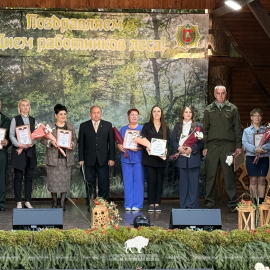 Наш профессиональный праздник – День работников леса