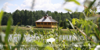 Guest Houses