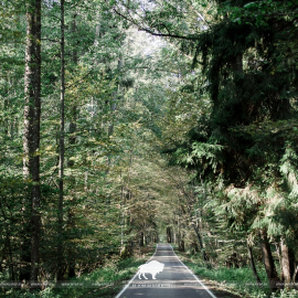 Along green corridor