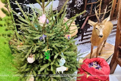 «Моя Беларусь»: Масштабная выставка достижений стартует в Минске с 19 декабря