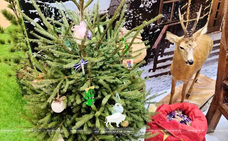 «Моя Беларусь»: Масштабная выставка достижений стартует в Минске с 19 декабря