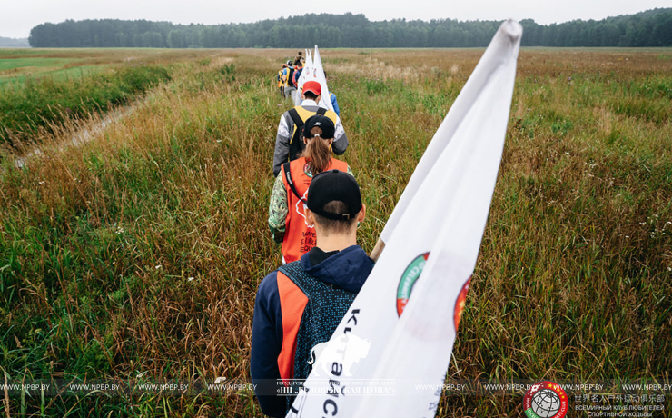 The first international competitions in sport walking were held in Belovezhskaya Pushcha.