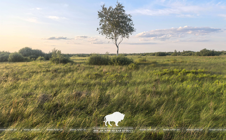 Всемирный день водно-болотных угодий