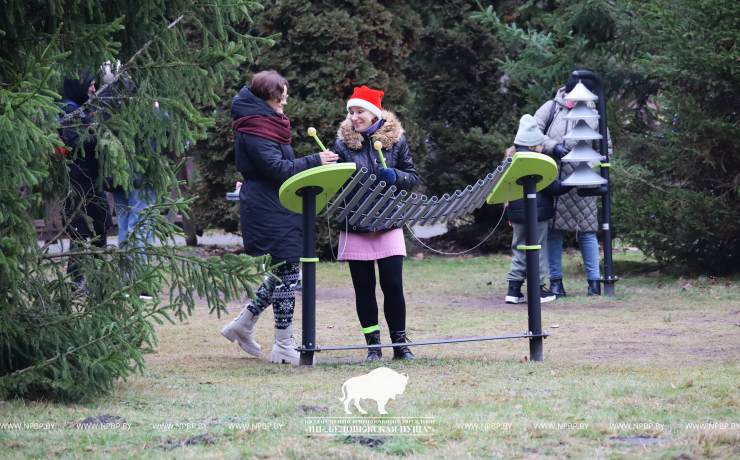 Как прошёл праздник в Беловежской пуще с участием волшебников