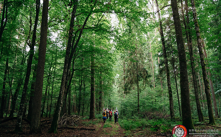 The first international competitions in sport walking were held in Belovezhskaya Pushcha.