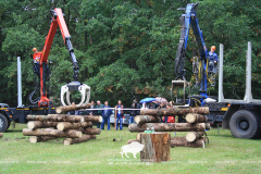 Belovezhskaya Pushcha INVITES to the celebration of the Forest Worker Day!