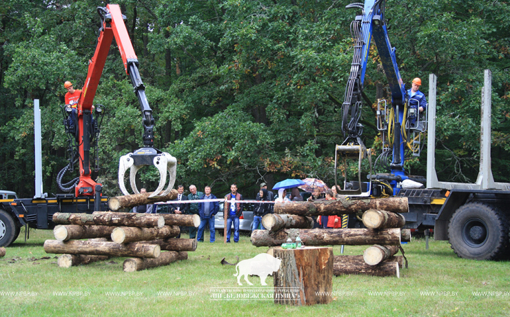 Belovezhskaya Pushcha INVITES to the celebration of the Forest Worker Day!