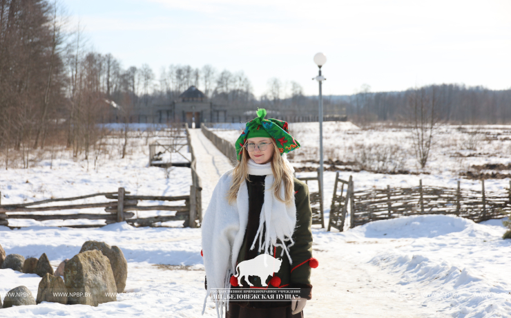 Масленица 2026