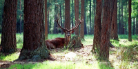 Nature protection