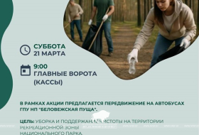 21 марта — Международный день лесов: уникальность Беловежской пущи