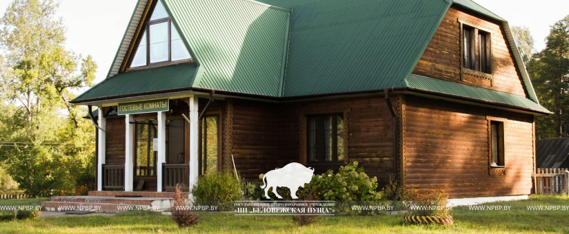 Guest rooms in the forestry.