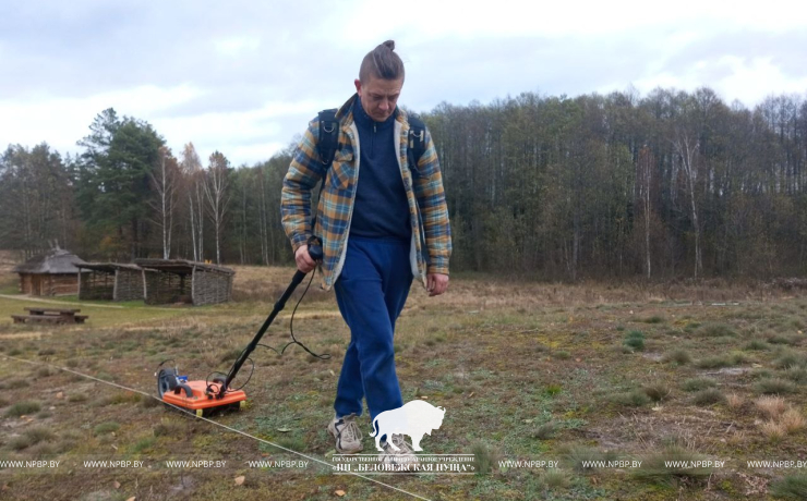 Тайны археологии Беловежской пущи раскрываются с помощью радиотехнического зондирования