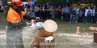 Belovezhskaya Pushcha INVITES to the celebration of the Forest Worker Day!