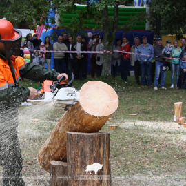 Belovezhskaya Pushcha INVITES to the celebration of the Forest Worker Day!