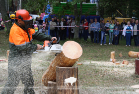 Belovezhskaya Pushcha INVITES to the celebration of the Forest Worker Day!