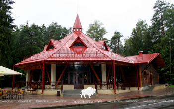 Cafe "Lesnaya Skazka"