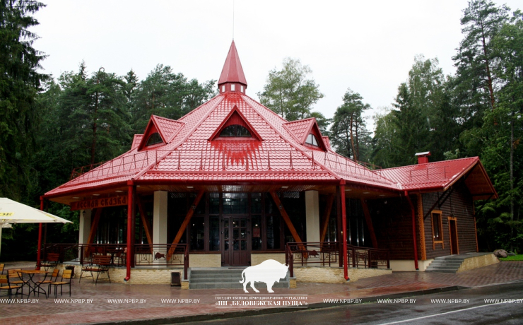 Cafe "Lesnaya Skazka"