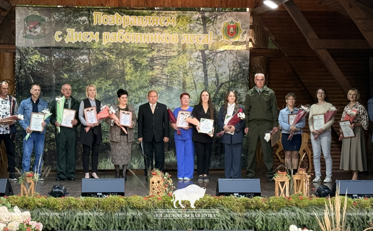 Наш профессиональный праздник – День работников леса