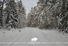 Пущанское вдохновение