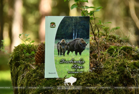 21-й сборник научных статей «Беловежская пуща. Исследования»