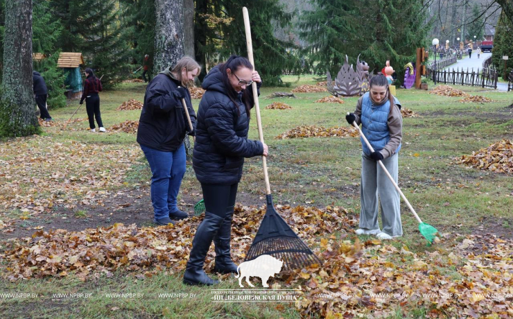 Республиканский субботник в Беловежской пуще