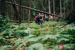 The first international competitions in sport walking were held in Belovezhskaya Pushcha.