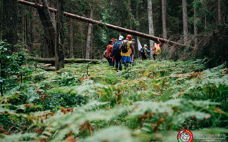 The first international competitions in sport walking were held in Belovezhskaya Pushcha.