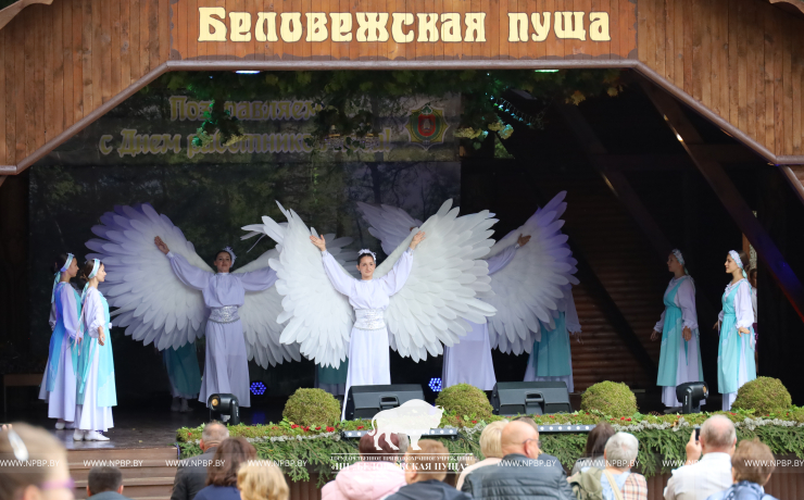 Прошел День работников леса 2024 