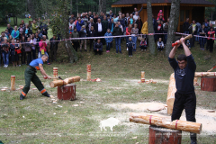 Belovezhskaya Pushcha INVITES to the celebration of the Forest Worker Day!