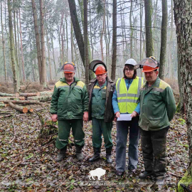 Неделя нулевого травматизма в Беловежской пуще