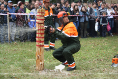 Belovezhskaya Pushcha INVITES to the celebration of the Forest Worker Day!