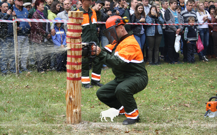 Belovezhskaya Pushcha INVITES to the celebration of the Forest Worker Day!