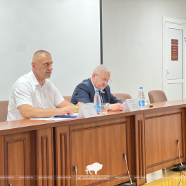 От кибератак до правил на дорогах