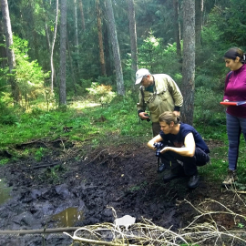  The first students from the European Union investigate Belovezhskaya Pushcha