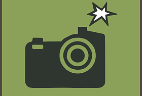 Photo traps in the Belovezhskaya Pushcha (April 2018)