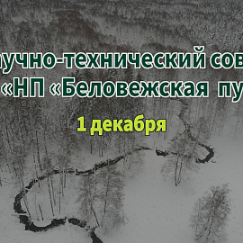 Заседание Научно-технического совета ГПУ НП «Беловежская пуща»