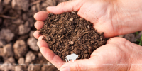 Soils