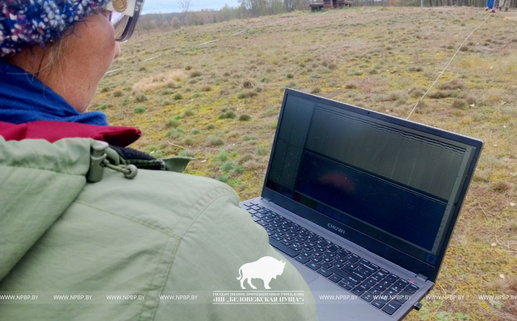 Тайны археологии Беловежской пущи раскрываются с помощью радиотехнического зондирования