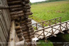 Archaeological Open Air Museum