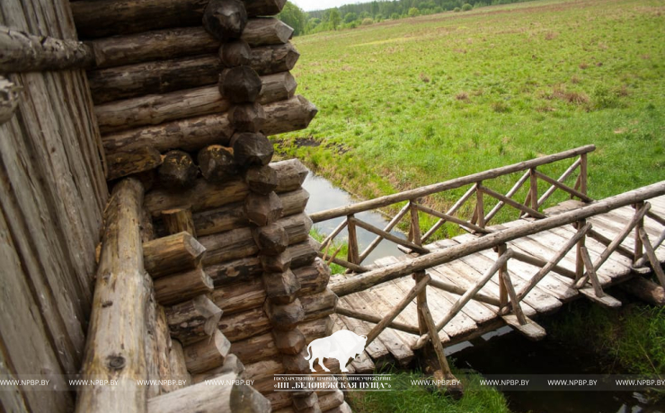 Archaeological Open Air Museum